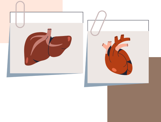 Новый калькулятор «Коэффициент де Ритиса»